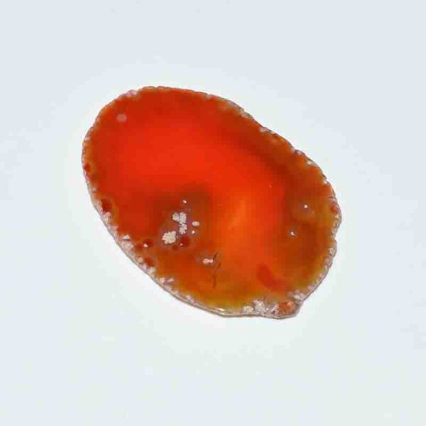 orange agate slice
