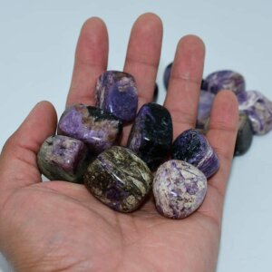 Charoite Tumble stones on hand, 20–30mm polished gems for jewelry and energy healing