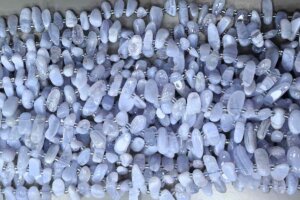 Blue Lace Agate beads showing Blue Lace Agate Meaning in jewelry designs